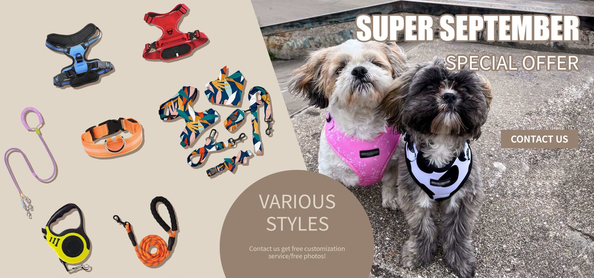 qualité collier d'animal familier usine