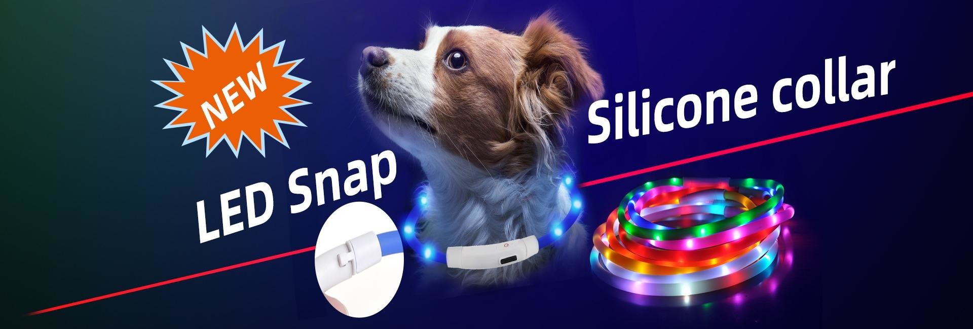 qualità collare dell'animale domestico fabbrica